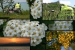 Balaton körül